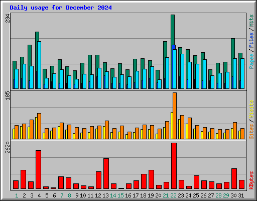 Daily usage for December 2024