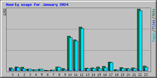 Hourly usage for January 2024