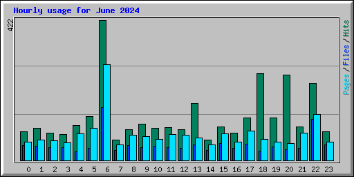 Hourly usage for June 2024