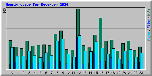Hourly usage for December 2024