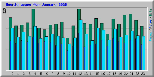 Hourly usage for January 2026