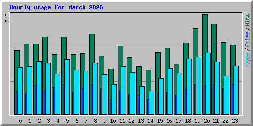 Hourly usage for March 2026